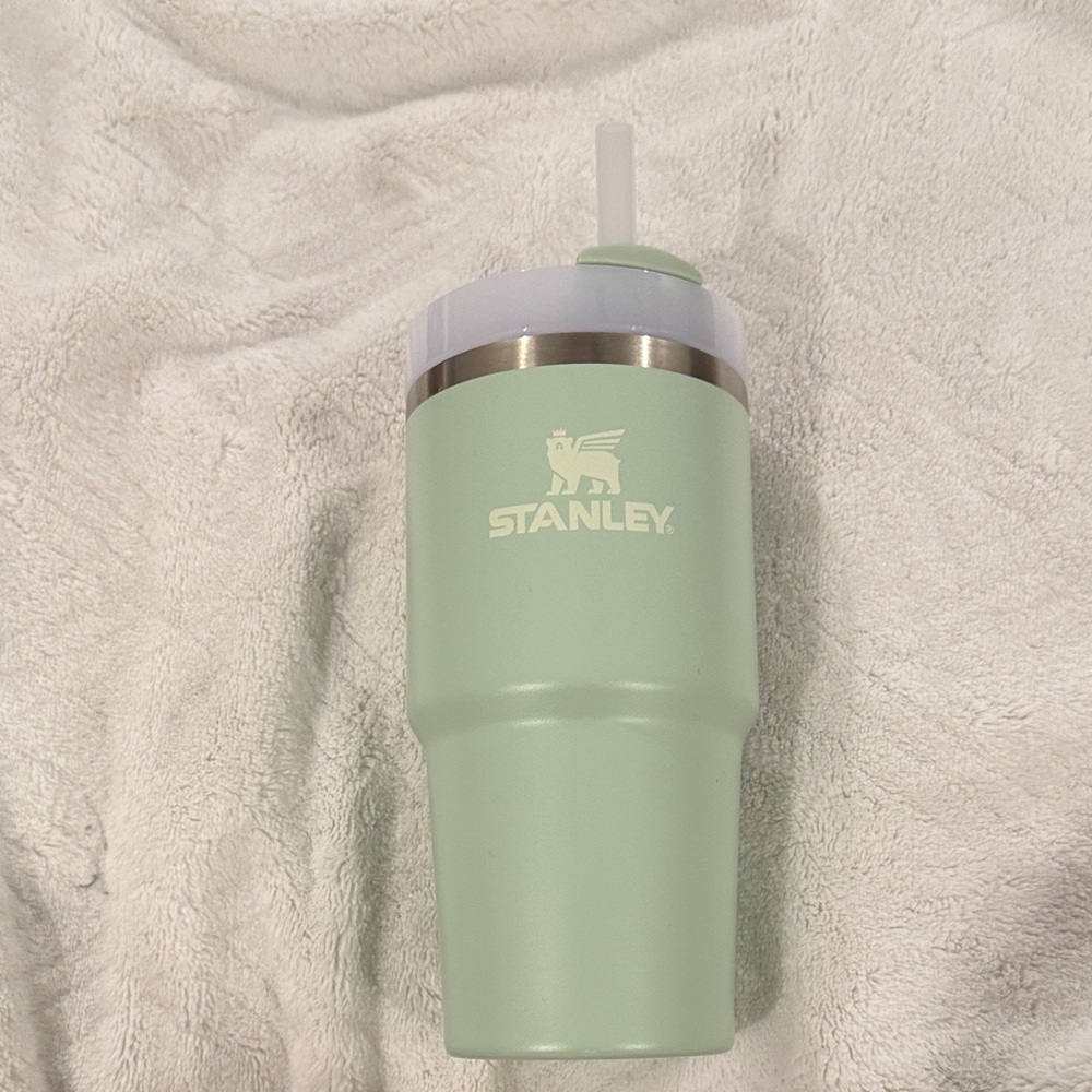 Stanley Pastel Green Travel Cup with Straw